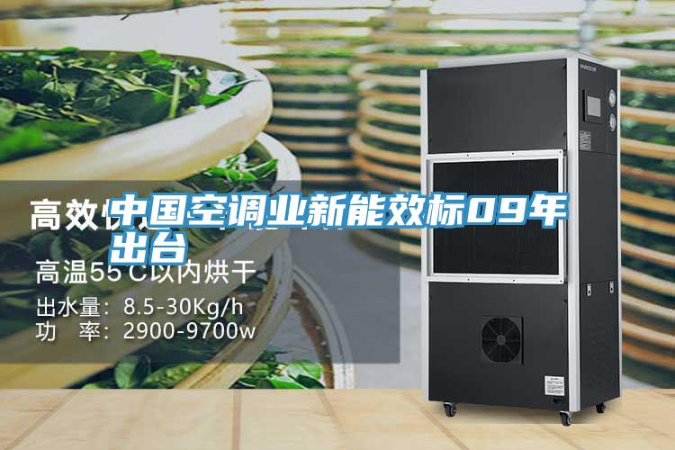 中國空調(diào)業(yè)新能效標(biāo)09年出臺(tái)
