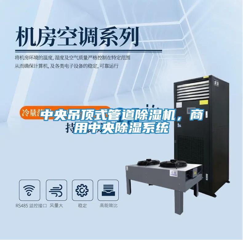 中央吊頂式管道除濕機,商用中央除濕系統(tǒng)