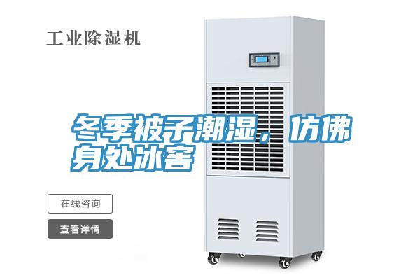 冬季被子潮濕，仿佛身處冰窖