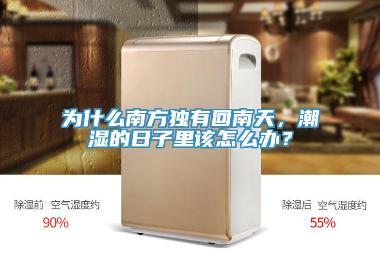 為什么南方獨有回南天,潮濕的日子里該怎么辦?
