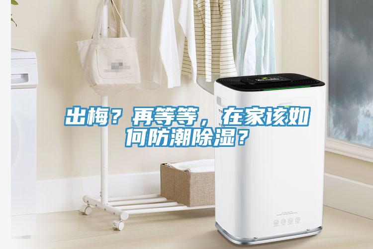 出梅?再等等,在家該如何防潮除濕?
