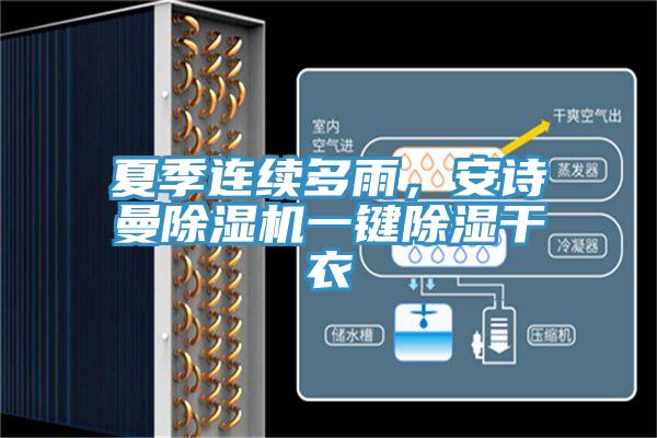 夏季連續(xù)多雨,安詩曼除濕機一鍵除濕干衣