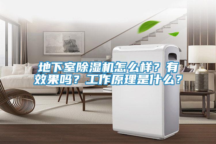 地下室除濕機怎么樣？有效果嗎？工作原理是什么？