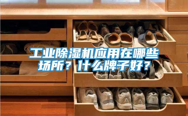 工業(yè)除濕機應(yīng)用在哪些場所？什么牌子好？