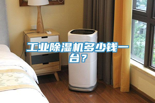 工業(yè)除濕機(jī)多少錢一臺？