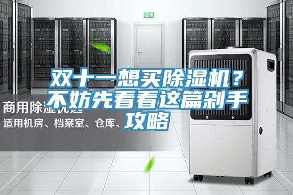 雙十一想買除濕機？不妨先看看這篇剁手攻略