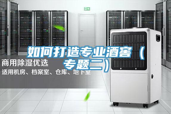 如何打造專業酒窖(專題二)