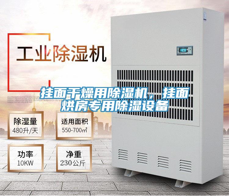 掛面干燥用除濕機,掛面烘房專用除濕設備