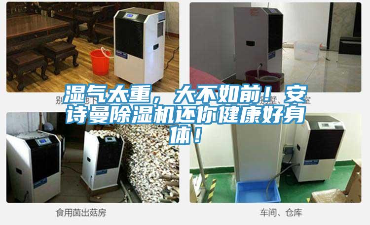 濕氣太重,大不如前!安詩(shī)曼除濕機(jī)還你健康好身體!