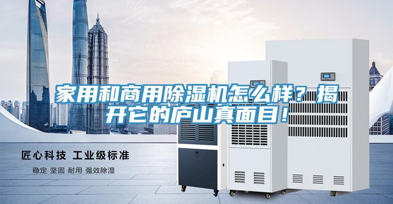 家用和商用除濕機怎么樣？揭開它的廬山真面目！