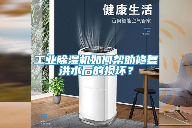 工業(yè)除濕機(jī)如何幫助修復(fù)洪水后的損壞?