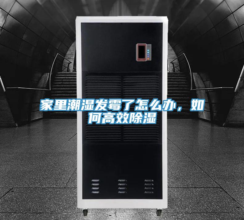 家里潮濕發(fā)霉了怎么辦,如何高效除濕
