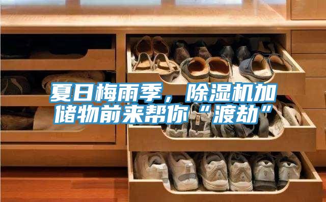 夏日梅雨季,除濕機(jī)加儲(chǔ)物前來幫你“渡劫”