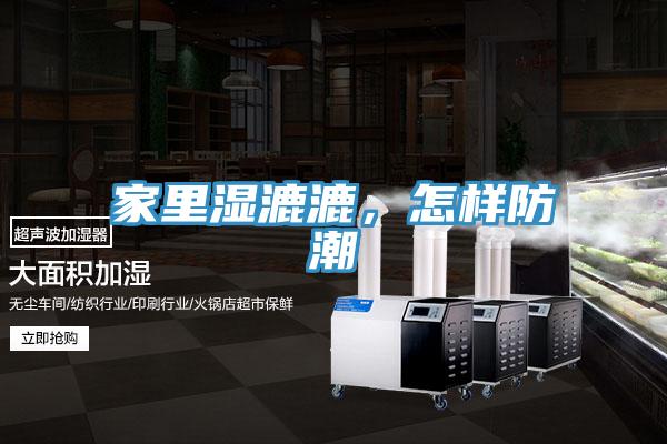 家里濕漉漉，怎樣防潮