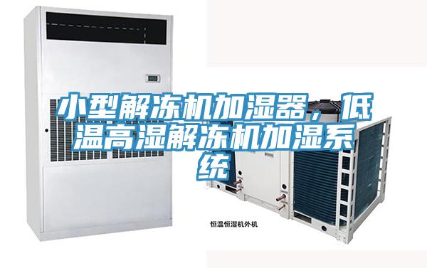 小型解凍機(jī)加濕器，低溫高濕解凍機(jī)加濕系統(tǒng)