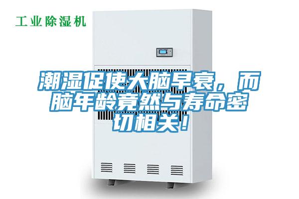 潮濕促使大腦早衰,而腦年齡竟然與壽命密切相關(guān)!