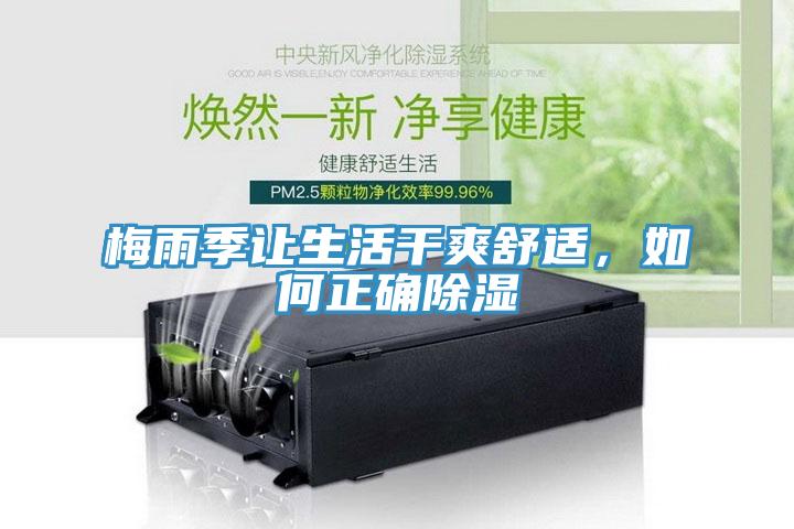 梅雨季讓生活干爽舒適，如何正確除濕