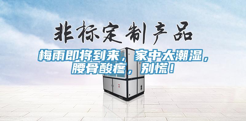 梅雨即將到來，家中太潮濕，腰骨酸疼，別慌！