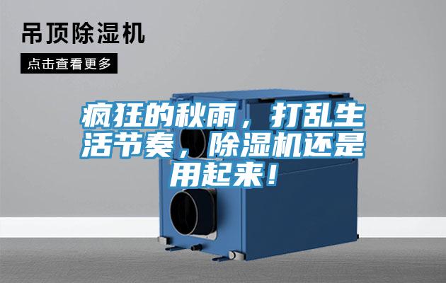 瘋狂的秋雨,打亂生活節(jié)奏,除濕機還是用起來!