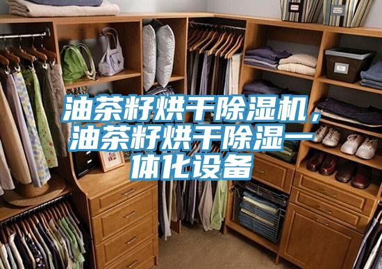 油茶籽烘干除濕機,油茶籽烘干除濕一體化設備
