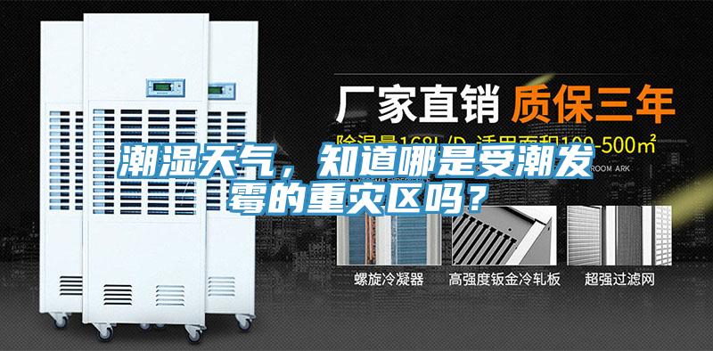 潮濕天氣,知道哪是受潮發(fā)霉的重災(zāi)區(qū)嗎?