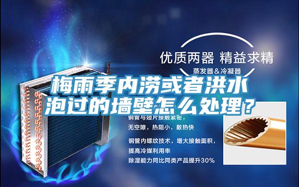 梅雨季內(nèi)澇或者洪水泡過的墻壁怎么處理?