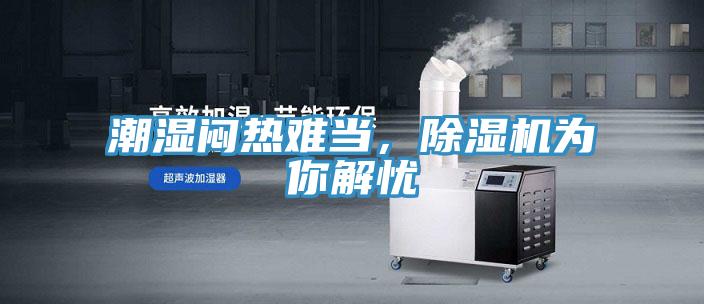 潮濕悶熱難當,除濕機為你解憂