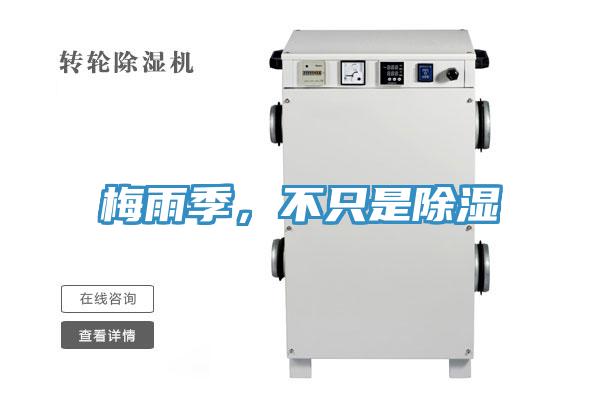 梅雨季，不只是除濕