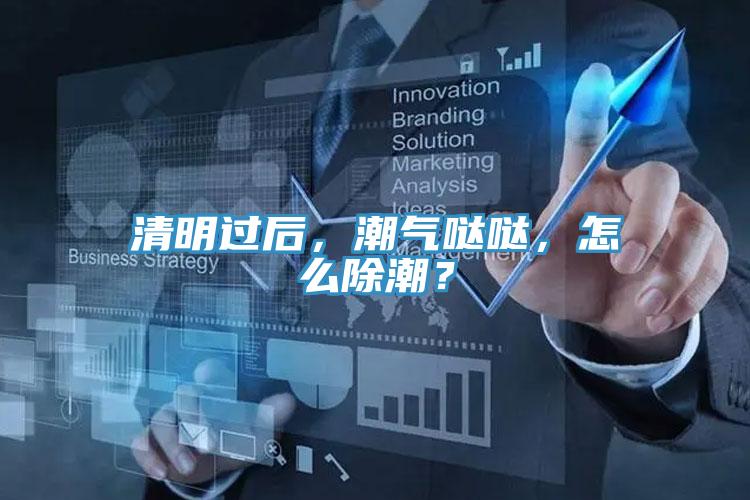 清明過后,潮氣噠噠,怎么除潮?