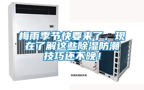 梅雨季節(jié)快要來(lái)了，現(xiàn)在了解這些除濕防潮技巧還不晚！