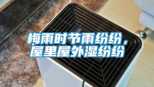 梅雨時(shí)節(jié)雨紛紛，屋里屋外濕紛紛