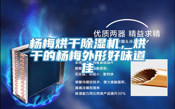 楊梅烘干除濕機,烘干的楊梅外形好味道佳