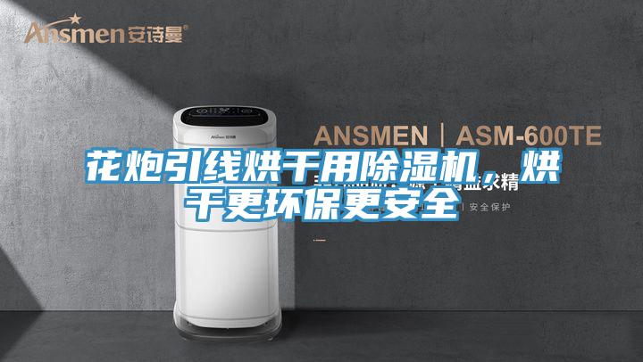 花炮引線烘干用除濕機(jī),烘干更環(huán)保更安全