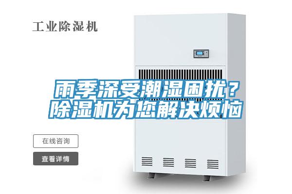 雨季深受潮濕困擾？除濕機為您解決煩惱