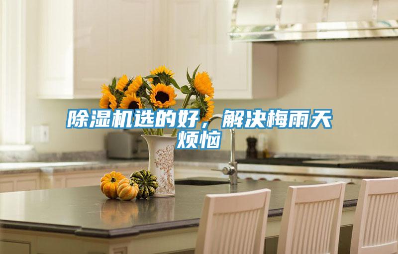 除濕機(jī)選的好,解決梅雨天煩惱