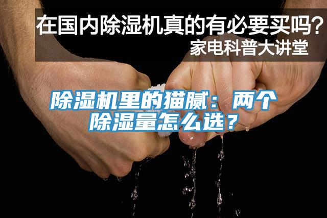 除濕機里的貓膩:兩個除濕量怎么選?