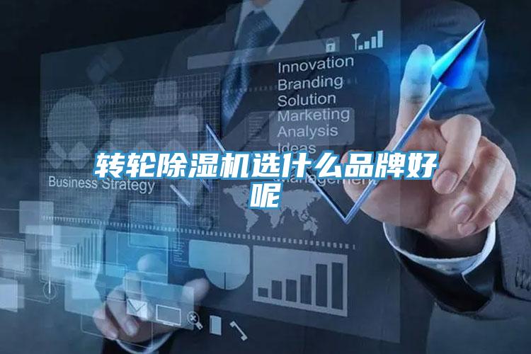 轉(zhuǎn)輪除濕機選什么品牌好呢