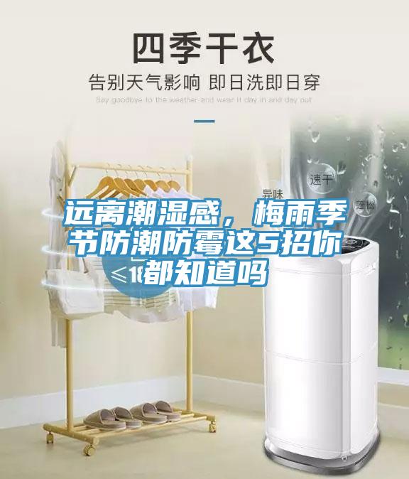 遠離潮濕感,梅雨季節防潮防霉這5招你都知道嗎