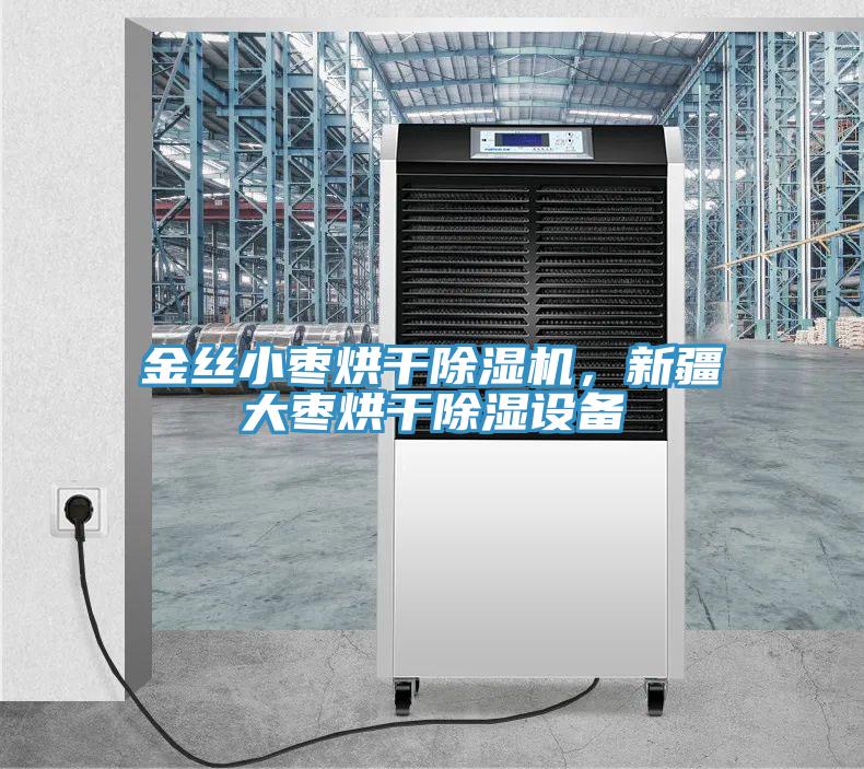 金絲小棗烘干除濕機,新疆大棗烘干除濕設備