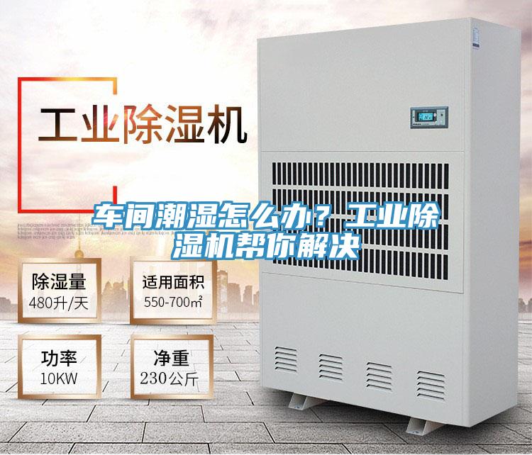 車間潮濕怎么辦？工業(yè)除濕機幫你解決