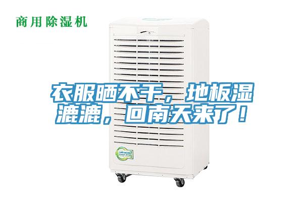 衣服曬不干,地板濕漉漉,回南天來了!