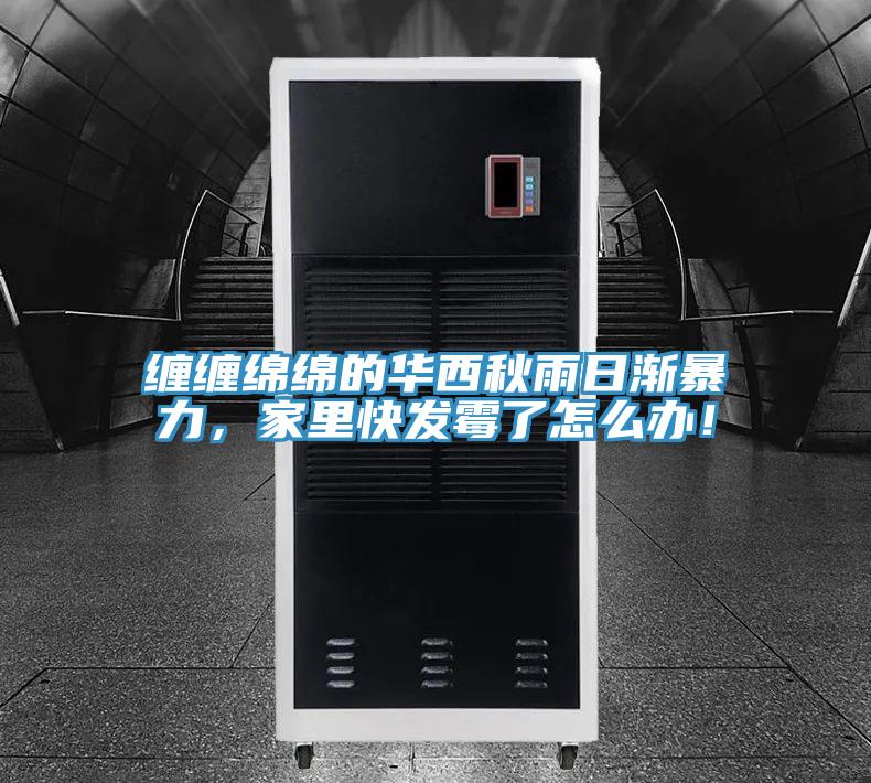 纏纏綿綿的華西秋雨日漸暴力，家里快發(fā)霉了怎么辦！