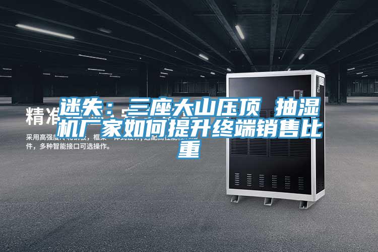 迷失:三座大山壓頂 抽濕機廠家如何提升終端銷售比重