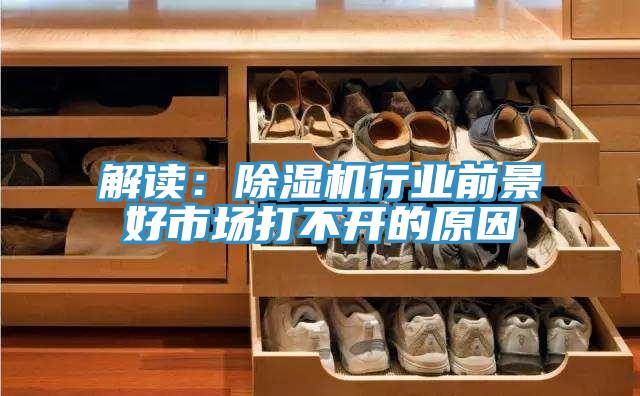 解讀:除濕機行業前景好市場打不開的原因