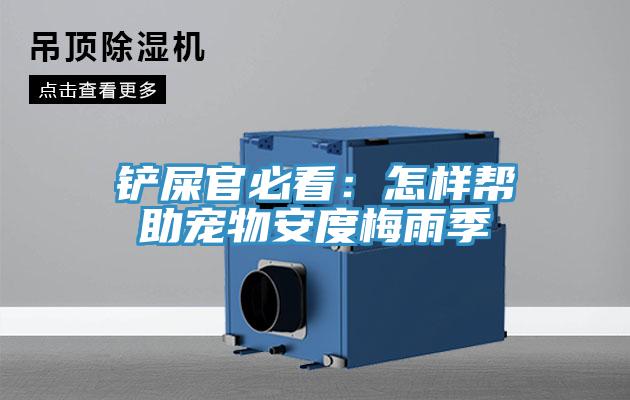 鏟屎官必看:怎樣幫助寵物安度梅雨季