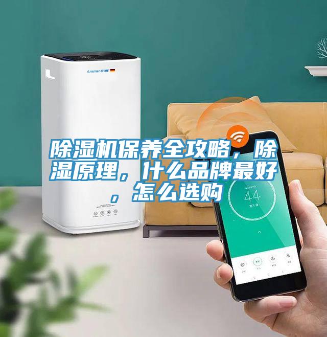 除濕機保養全攻略，除濕原理，什么品牌最好，怎么選購