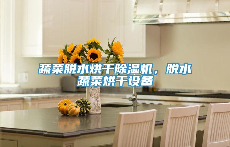 蔬菜脫水烘干除濕機,脫水蔬菜烘干設備