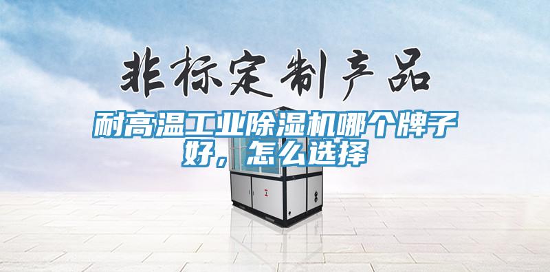 耐高溫工業(yè)除濕機哪個牌子好,怎么選擇