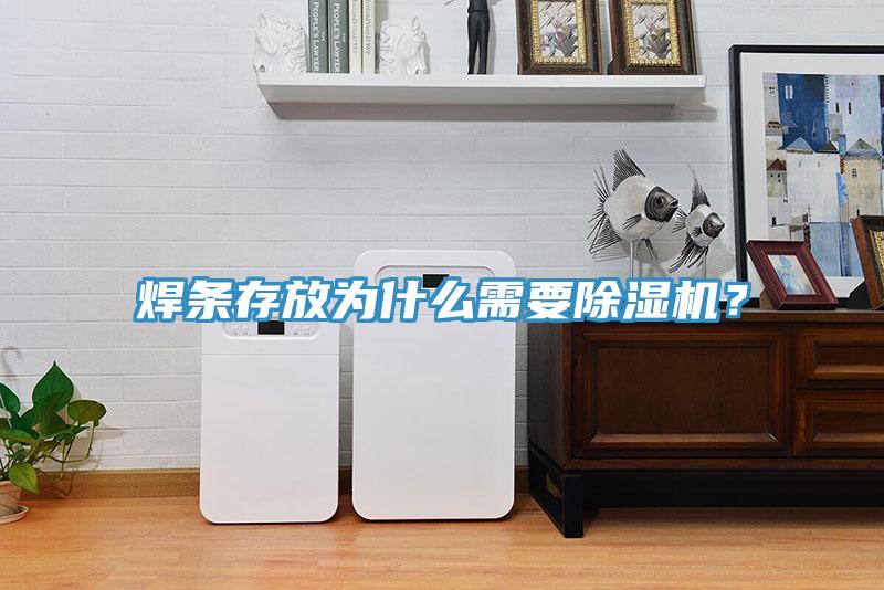 焊條存放為什么需要除濕機？