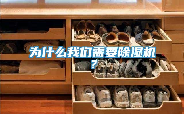 為什么我們需要除濕機?